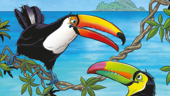 Illustration : toucans
